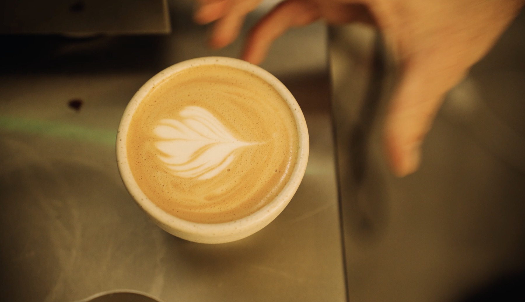 Barista